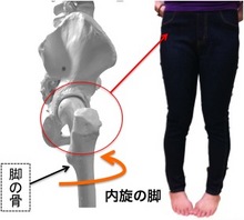 20111115_1725797.jpg