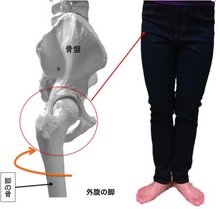 20111115_1725798.jpg