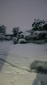 20160118雪.jpg