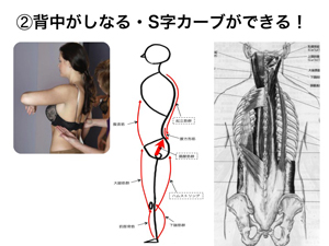 しなる背中.jpg