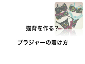 猫背ブラ.jpg